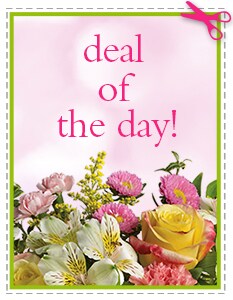 Deal of the Day